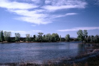 Concho Lake