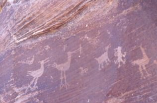 Petroglyphs at Petrified Forest