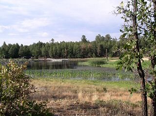 Woodland Lake Park